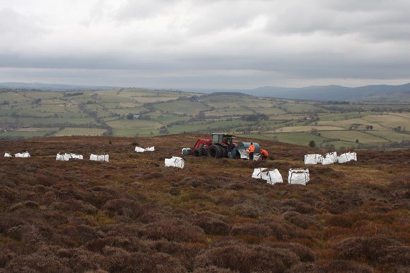 lWork is underway to restore the land damaged on Llantysilio Mountain following the fire in 2018. 