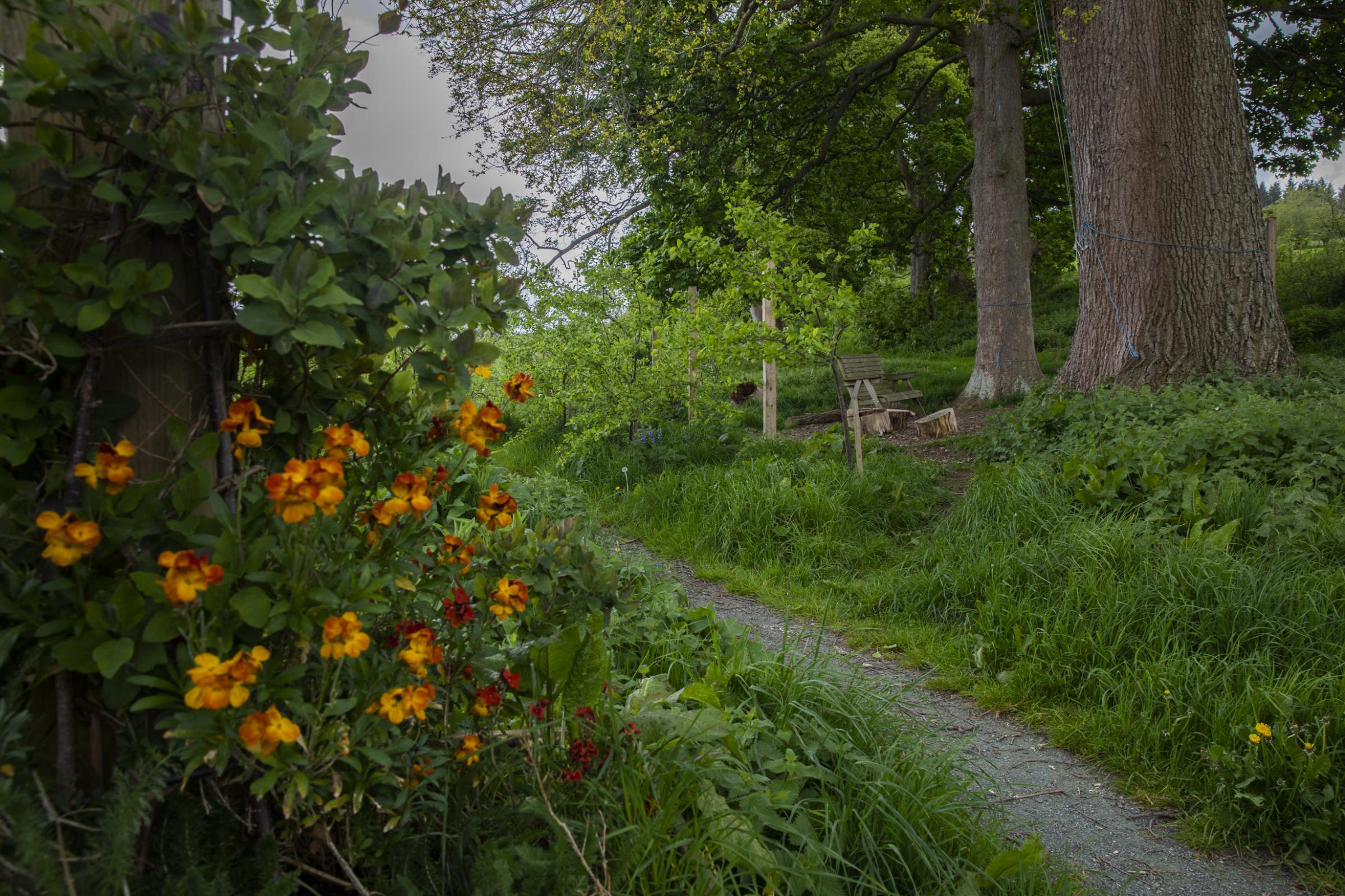 community centre in Llanfwrog; the community garden at the community centre. Picture Mandy Jones