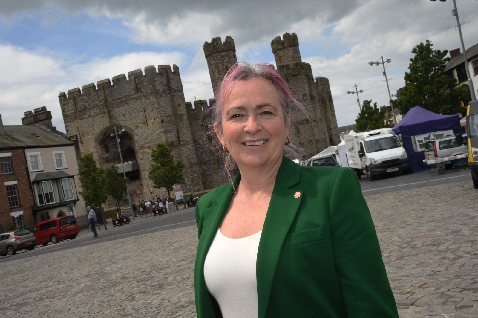 Liz Saville Roberts, Plaid Cymru candidate for Dwyfor Meirionnydd (Image Plaid Cymru/ Liz Saville Roberts office)